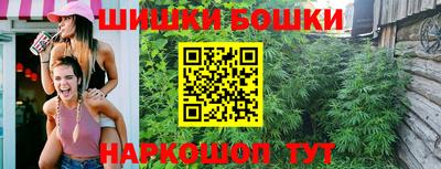 гашик Малгобек