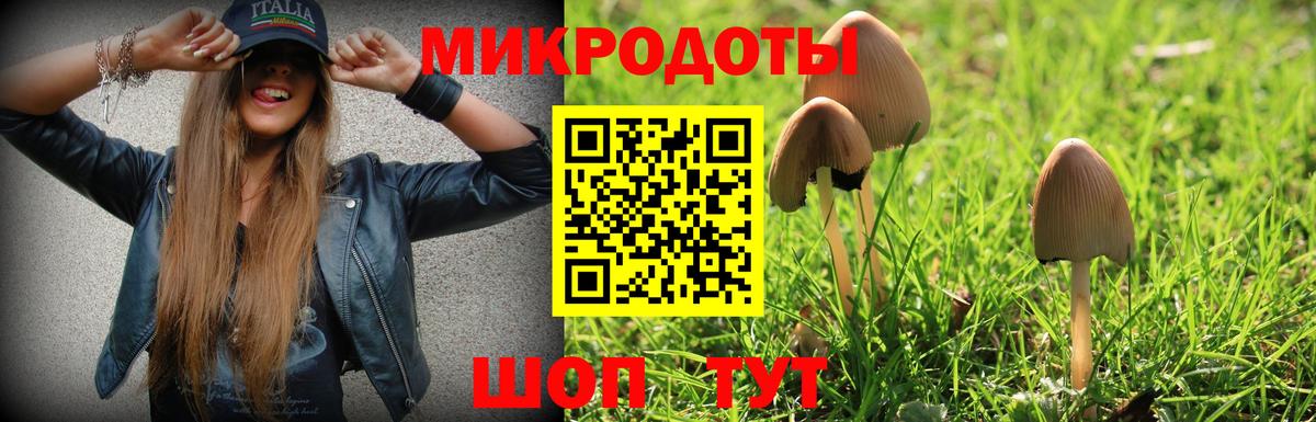 Псилоцибиновые грибы прущие грибы Гагарин
